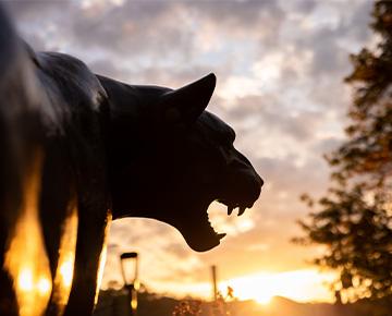 panther statue at sunrise